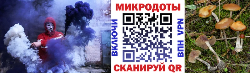 Галлюциногенные грибы Psilocybe  Купить закладки  Чусовой 